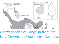 https://sciencythoughts.blogspot.com/2013/03/a-new-species-of-lungfish-from-late.html