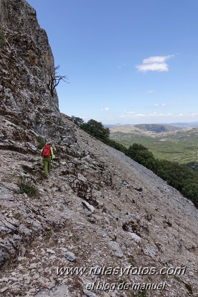 Cerro la Tala desde Conejeras