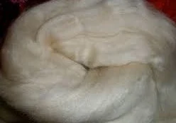 Cashmere wool fiber