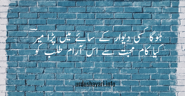 Hoga Kisi Deewar K Saaye Mai Para Mir - Mir taqi mir shayari - 2 lines urdu poetry image