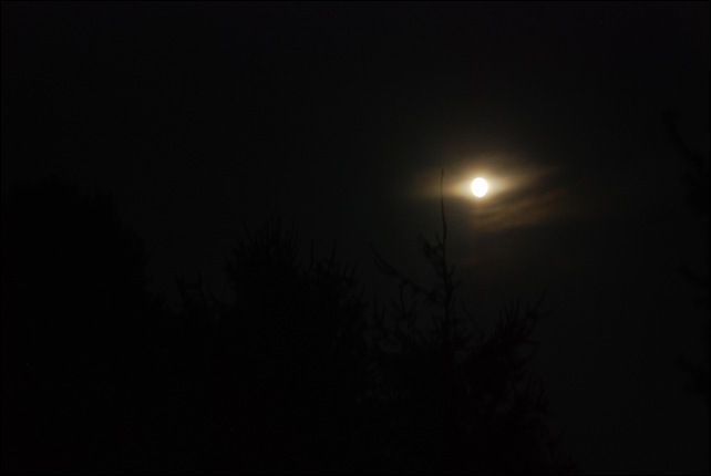 DSC_0055