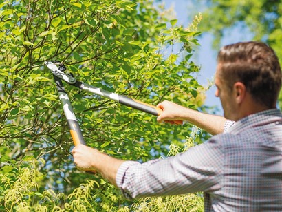 Pruning your trees