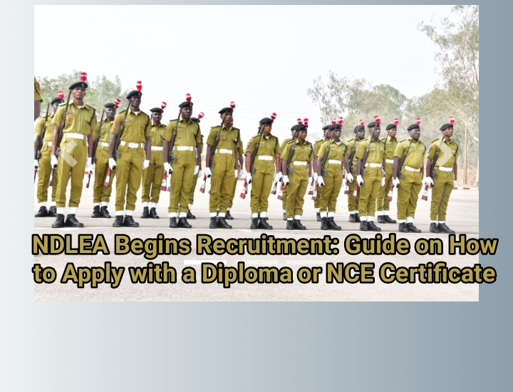 NDLEA Begins Recruitment: Guide on How to Apply with a Diploma or NCE Certificate