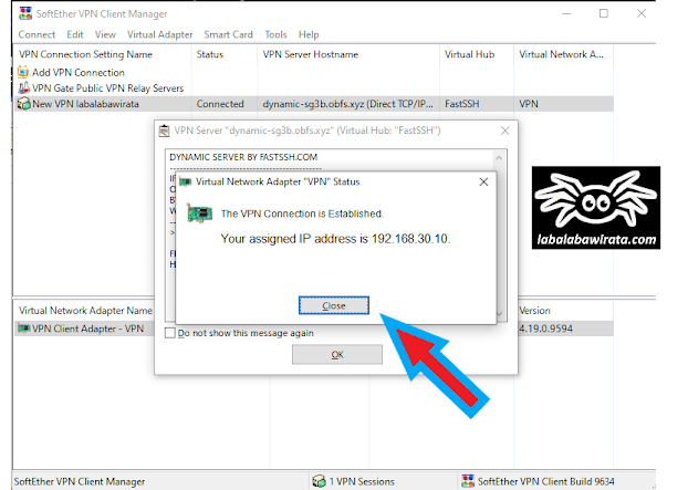 VPN Connection Is Estabilished | SoftEther VPN Client