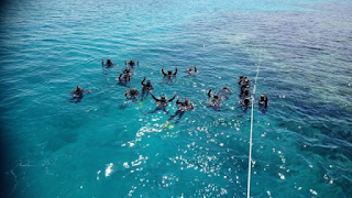 Padi Diving Courses