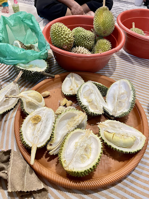 Bila Tiba Musim Durian