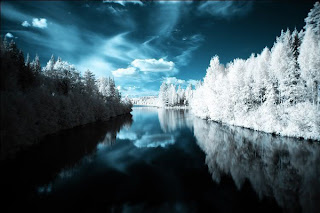 Beautiful-Infrared-Photography