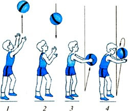 Бросание и ловля. Броски мяча вверх и ловля его двумя руками.. Подбрасывание мяча вверх и ловля его. Подбрасывание мяча вверх двумя руками. Подбрасывание и ловля мяча одной рукой.