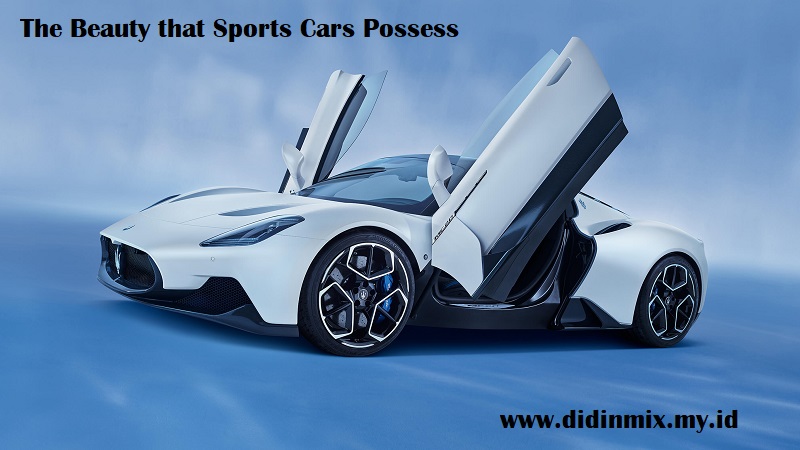 The Beauty that Sports Cars Possess