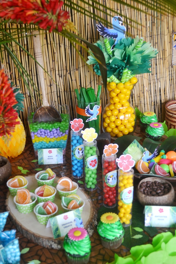 Rio 2 Movie  Inspired Birthday  Party  Party  Ideas  Party  