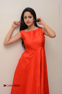 Telugu Actress Divya Nandini Stills in Orange Sleeveless Gown at Chennai Chaitrama Movie le Launch Event  0081.JPG