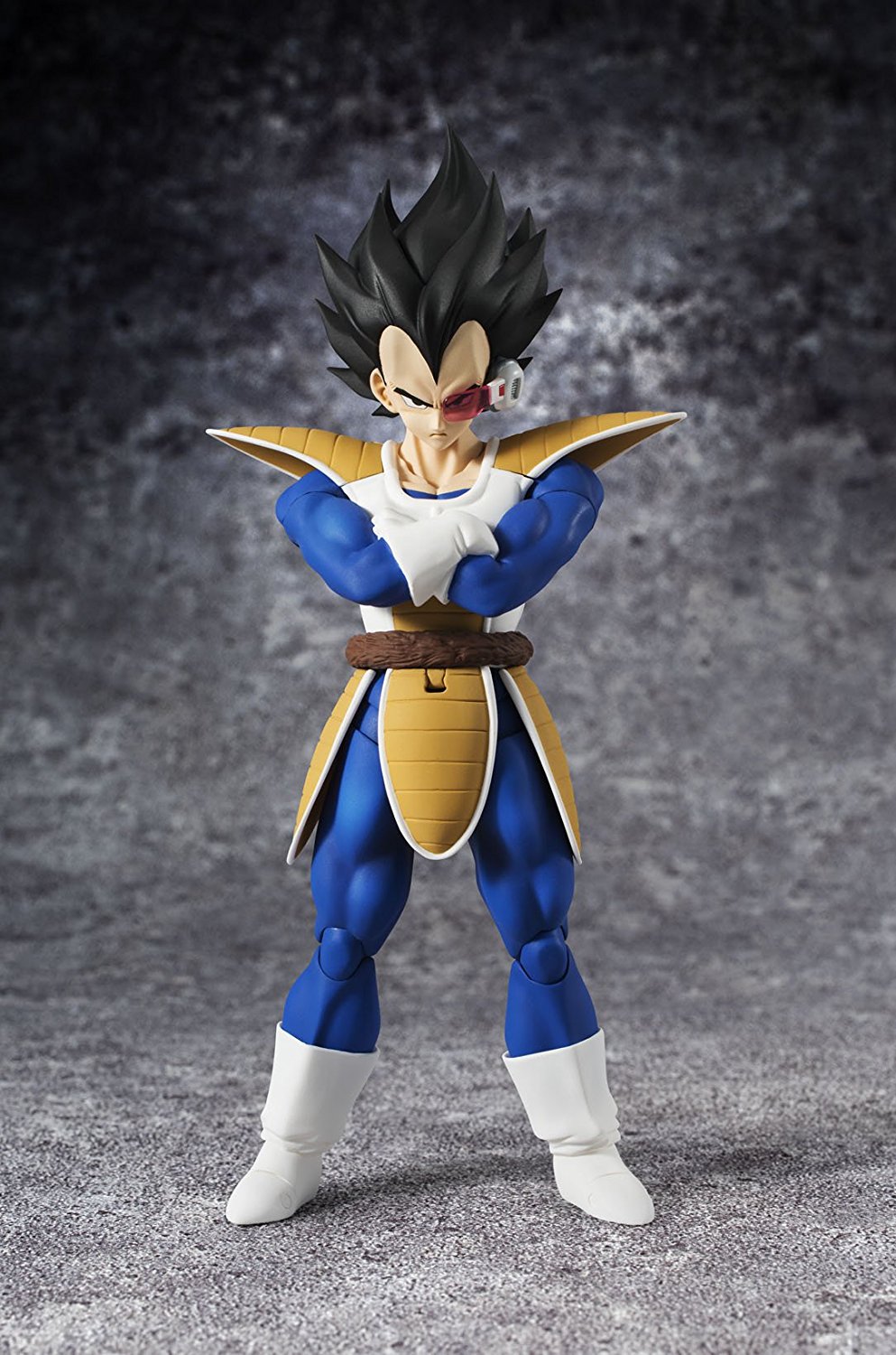 Toy Review: SH Figuarts Dragon Ball Z Normal Vegeta with ...