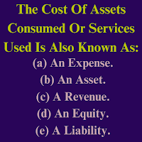 The Cost Of Assets Consumed Or Services Used