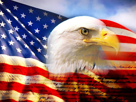 bald eagle head and american flag