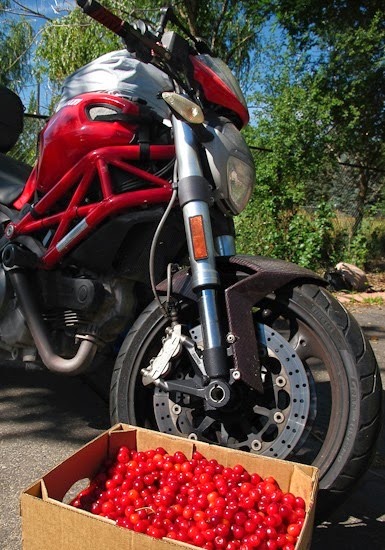 Montmorency Cherries with Ducati 696