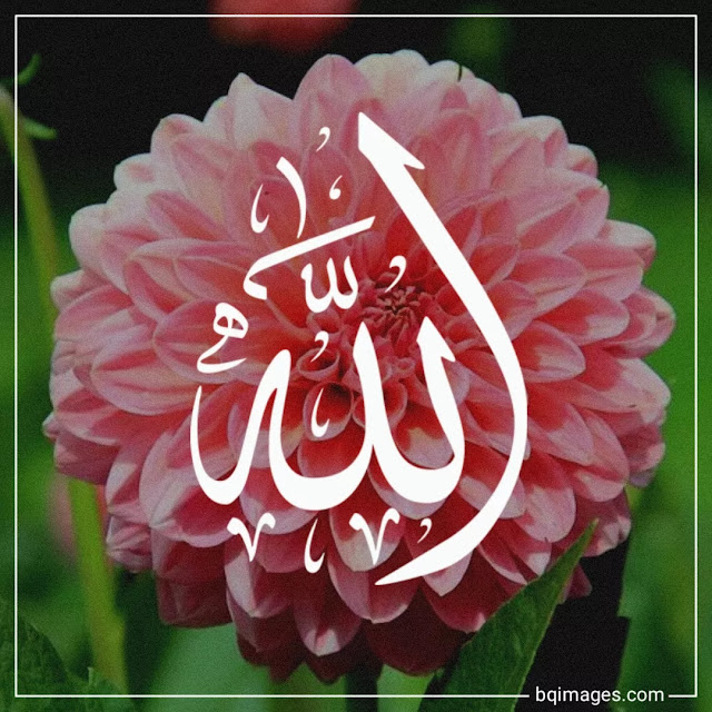 allah images for whatsapp