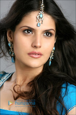 Zarine Khan Background and Beautiful Pics