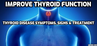 It is estimated that 20 million Americans have a thyroid problem, and that 12 percent of the general population will develop a thyroid disease in their lifetime. Read on to learn how to improve thyroid function.