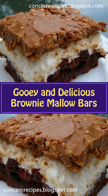 Gooey and Delicious Brownie Mallow Bars