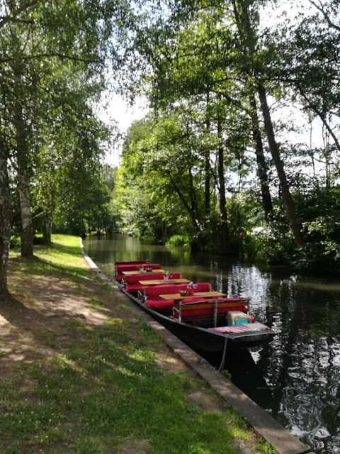 Spreewald - Brandenburgia jak z obrazka.