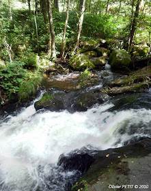 GERARDMER (88) - Le Saut des Cuves