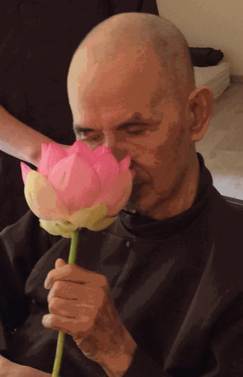 nhat hanh