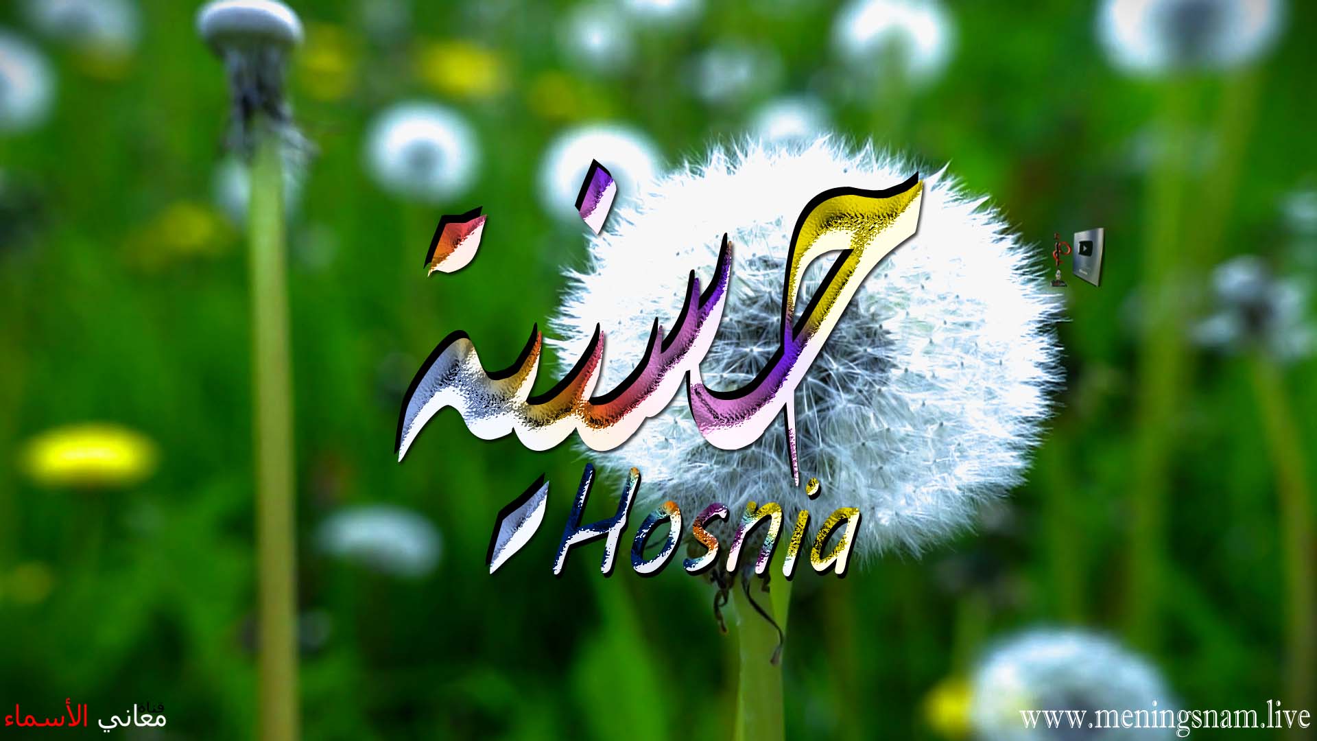 معنى اسم, حسنية, وصفات, حاملة, هذا الاسم, Hosnia,