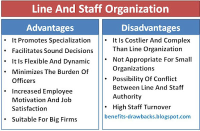 advantages disadvantages line and staff organization