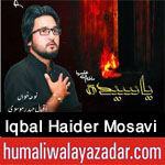 http://www.humaliwalayazadar.com/2017/10/iqbal-haider-mosavi-nohay-2018.html