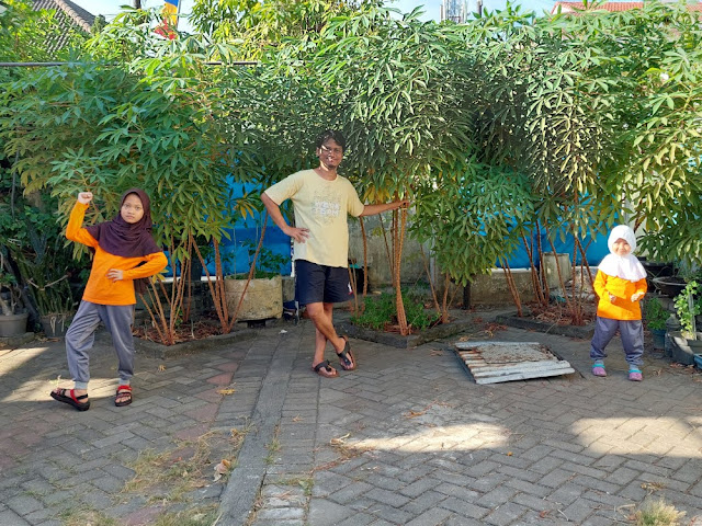 Jangan Panik Saat Ular Masuk ke Kebun atau Rumah