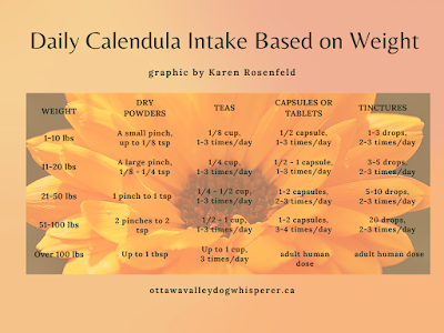 calendula for dogs and cats, dosage chart