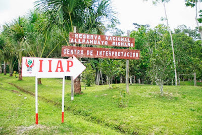 Iquitos y alrededores, selva peruana, como ir a la selva Peru