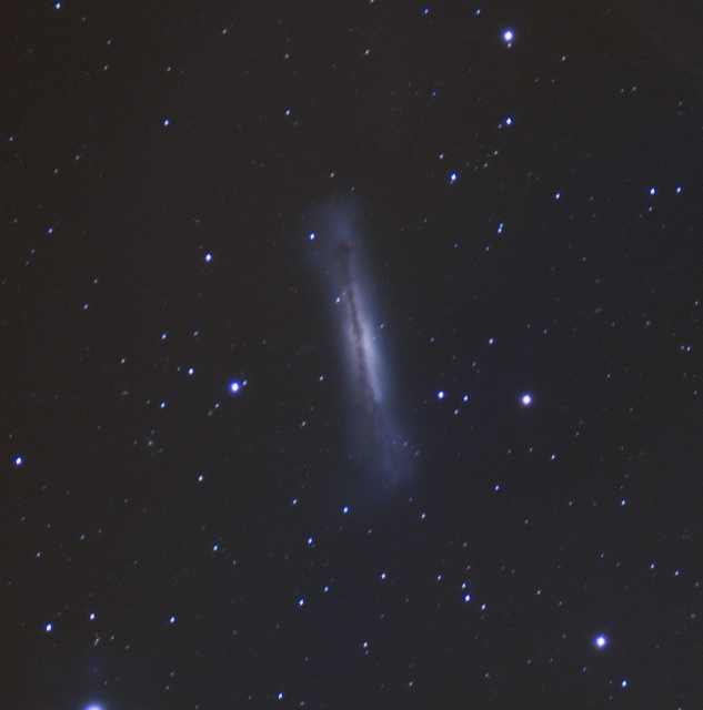 NGC 3628 - Galaxie du Hamburger