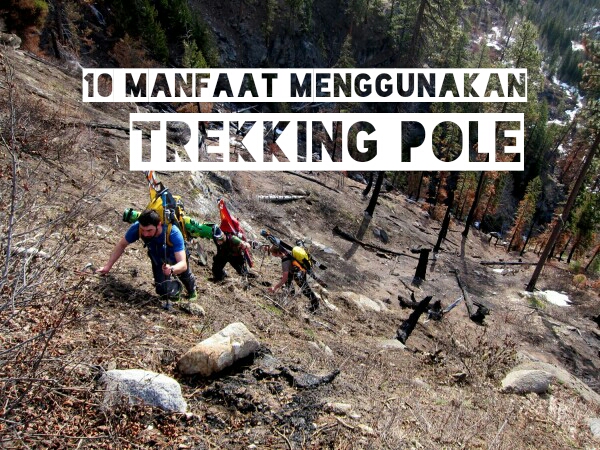 manfaat trekking pole dalam pendakian gunung