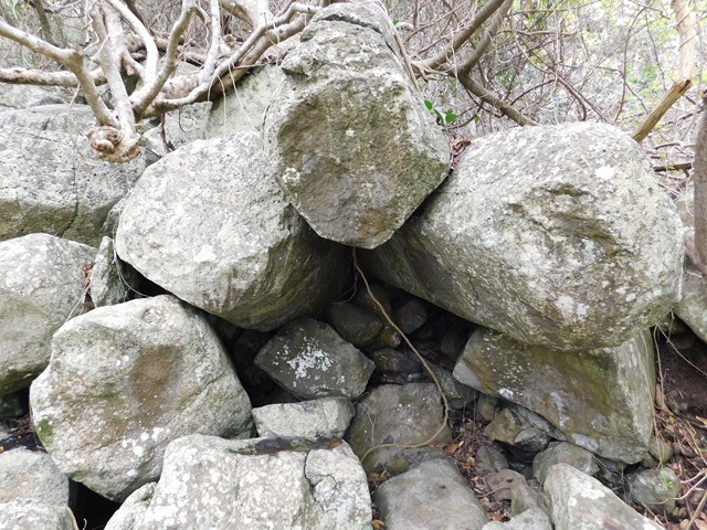 DSCN0813