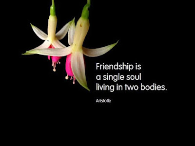 crazy friendship quotes and sayings. love and friendship quotes and