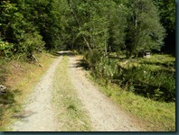 DSCN1916