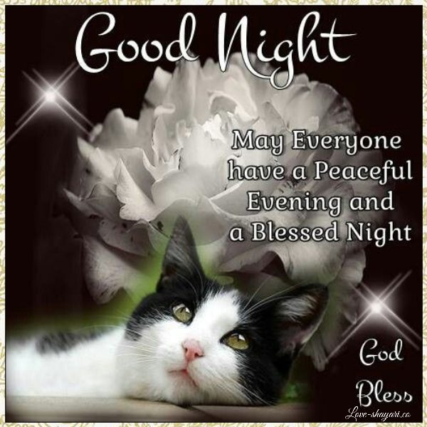 gud night