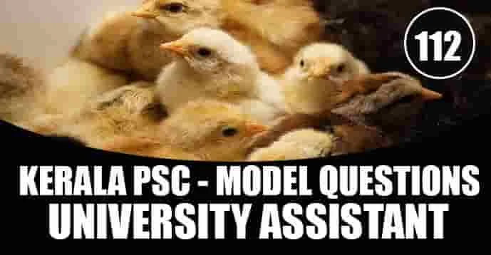 Kerala PSC Model Questions for University Assistant Exam - 112