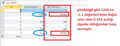 CByte Fonksiyonu