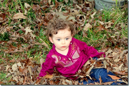 editIMG_1732