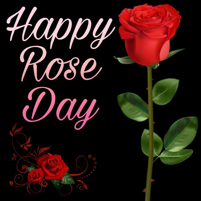 Happy Rose Day Images For Whatsapp