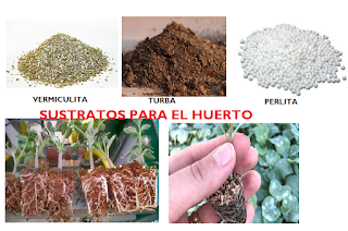 Sustratos para tus plantas y huertas - Tipos. Manual gratis