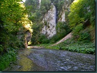 DSCN4974