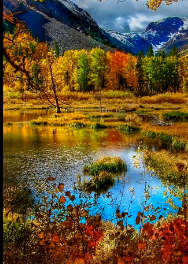 Autumn