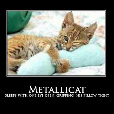 Metallicat sleeps with one eye open, gripping his pillow tight.