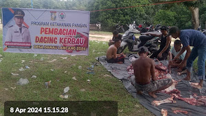 Pembagian Daging Ketahan Pengan Desa Danau Lancang Ada 4 Ekor Kerbau Dan 1 Ekor Sapi