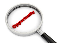 e business opportunities Business experience