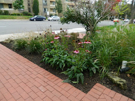 Midtown Toronto Fall Cleanup after by Paul Jung Gardening Services