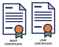 Explaining SSL/TLS certificate